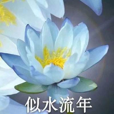 魔星战纪手游百度版下载