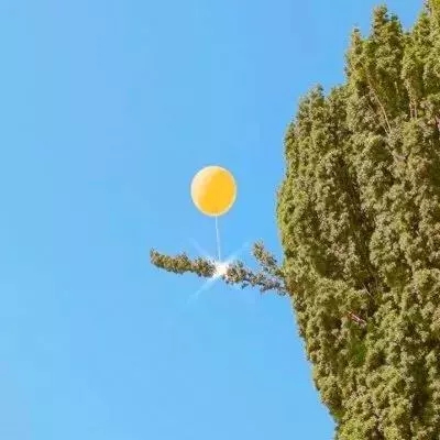 竞技召唤破解版下载